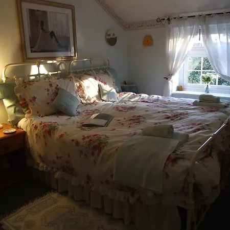 埃姆斯别墅住宿加早餐旅馆 4* 帕